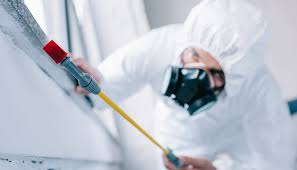 Best Pest Control for Restaurants and Food Service  in Davison, MI